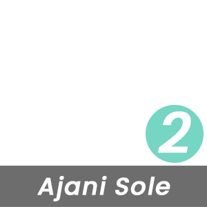 MBT Rock Index for This Ajani Sole is Moderate - Level 2 - Based on the Curve of the Rocker-Bottom Sole