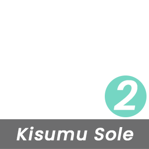 MBT Rock Index for This Kisumu Sole is Moderate - Level 2 - Based on the Curve of the Rocker-Bottom Sole