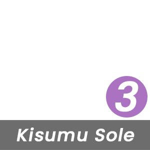 MBT Rock Index for This Kisumu Sole is High - Level 3 - Based on the Curve of the Rocker-Bottom Sole