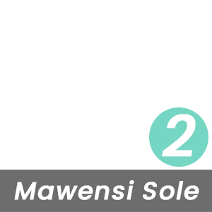 MBT Rock Index for This Mawensi Sole is Moderate - Level 2 - Based on the Curve of the Rocker-Bottom Sole