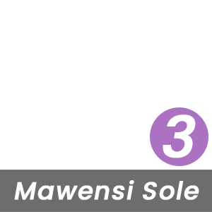 MBT Rock Index for This Mawensi Sole is High - Level 3 - Based on the Curve of the Rocker-Bottom Sole