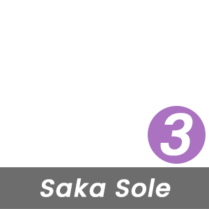 MBT Rock Index for This Saka Sole is High - Level 3 - Based on the Curve of the Rocker-Bottom Sole