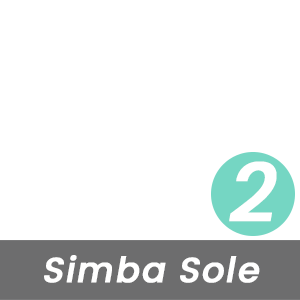 MBT Rock Index for This Simba Sole is Moderate - Level 2 - Based on the Curve of the Rocker-Bottom Sole
