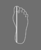Step 3 for Measuring Your Foot
