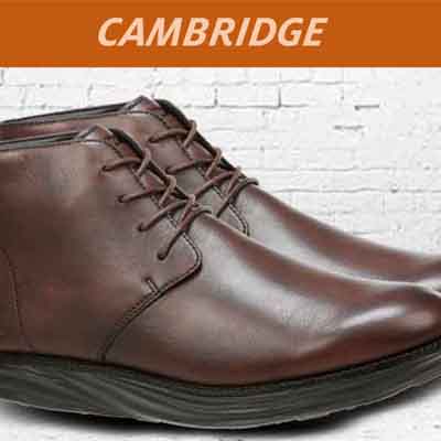 Cambridge Ankle Boots